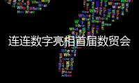 连连数字亮相首届数贸会 跨境服务助力企业出海